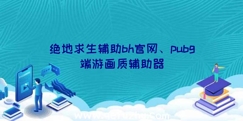 绝地求生辅助bh官网、pubg端游画质辅助器