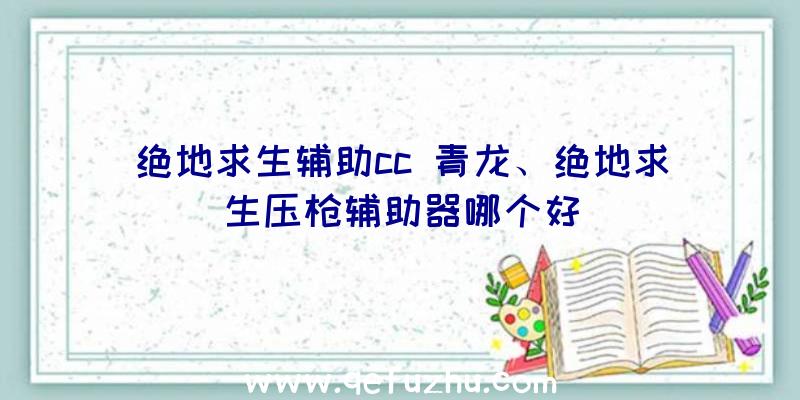 绝地求生辅助cc