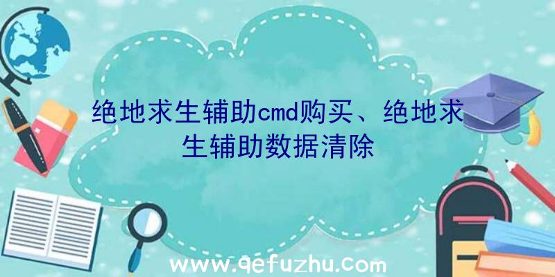 绝地求生辅助cmd购买、绝地求生辅助数据清除