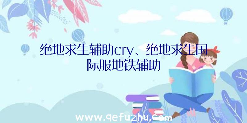 绝地求生辅助cry、绝地求生国际服地铁辅助