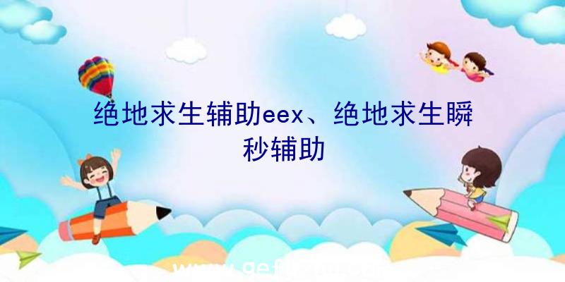 绝地求生辅助eex、绝地求生瞬秒辅助