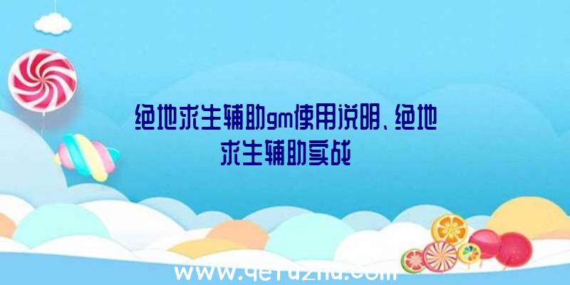 绝地求生辅助gm使用说明、绝地求生辅助实战