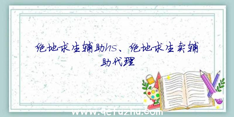 绝地求生辅助hs、绝地求生卖辅助代理