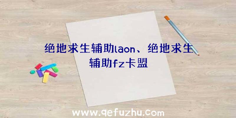 绝地求生辅助laon、绝地求生辅助fz卡盟