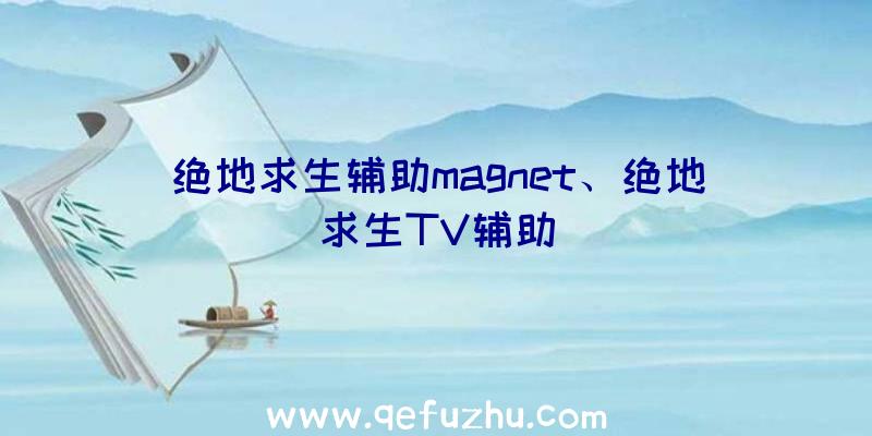 绝地求生辅助magnet、绝地求生TV辅助