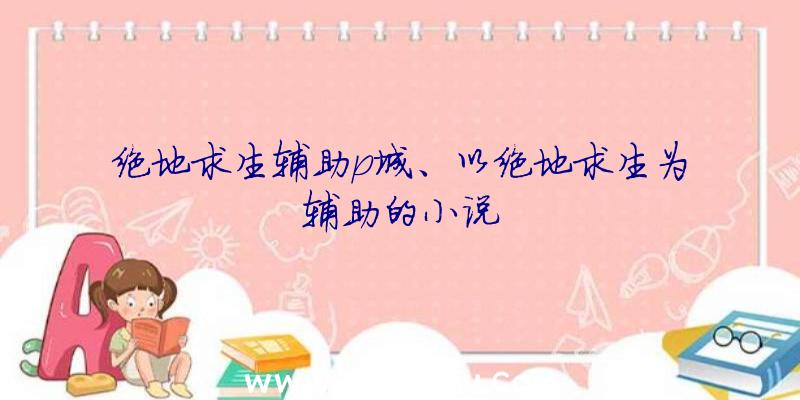 绝地求生辅助p城、以绝地求生为辅助的小说