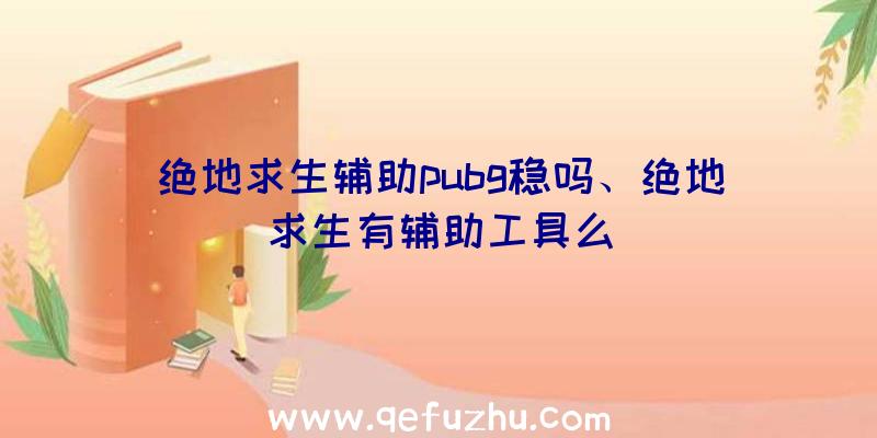 绝地求生辅助pubg稳吗、绝地求生有辅助工具么