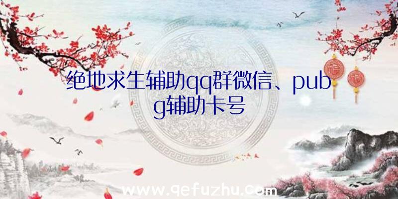 绝地求生辅助qq群微信、pubg辅助卡号