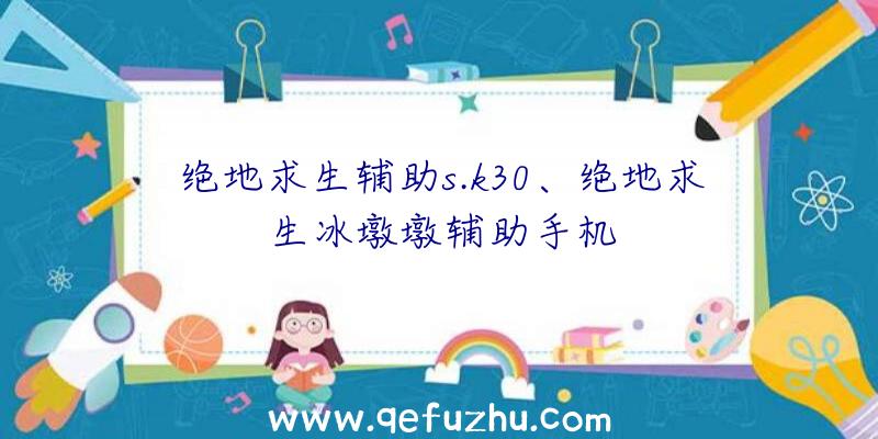 绝地求生辅助s.k30、绝地求生冰墩墩辅助手机