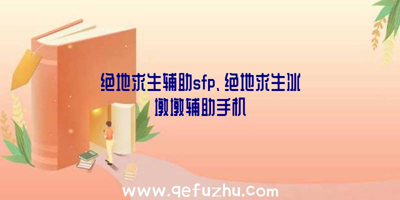 绝地求生辅助sfp、绝地求生冰墩墩辅助手机