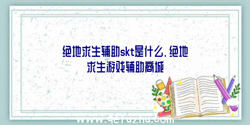 绝地求生辅助skt是什么、绝地求生游戏辅助商城