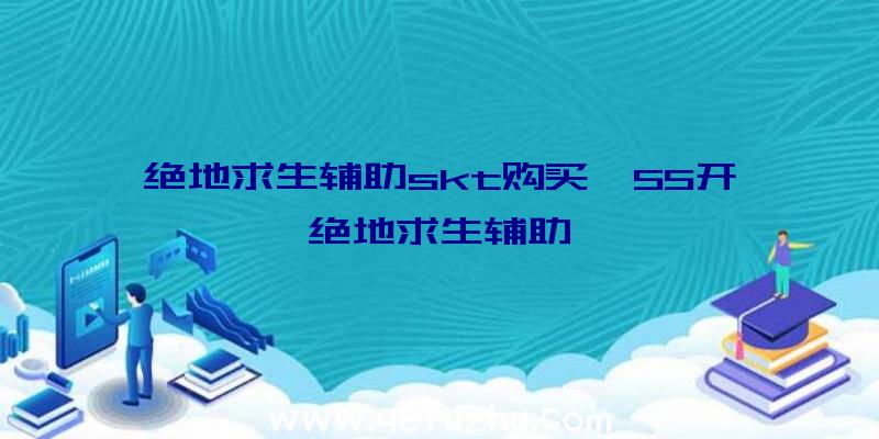 绝地求生辅助skt购买、55开绝地求生辅助