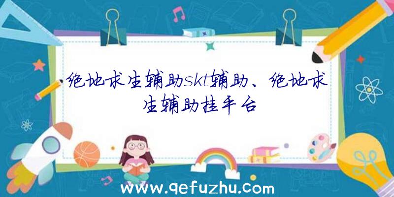 绝地求生辅助skt辅助、绝地求生辅助挂平台