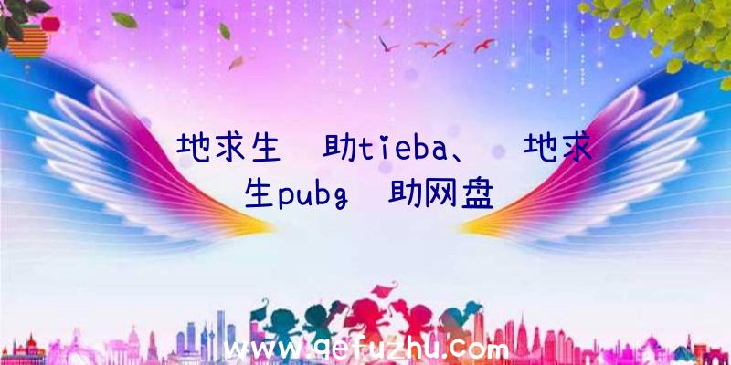 绝地求生辅助tieba、绝地求生pubg辅助网盘