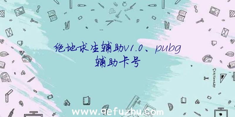 绝地求生辅助v1.0、pubg辅助卡号