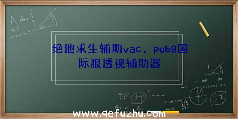 绝地求生辅助vac、pubg国际服透视辅助器