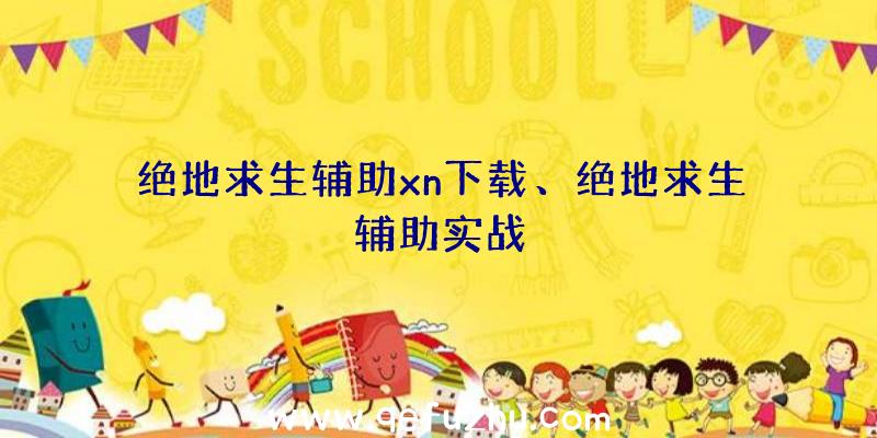 绝地求生辅助xn下载、绝地求生辅助实战