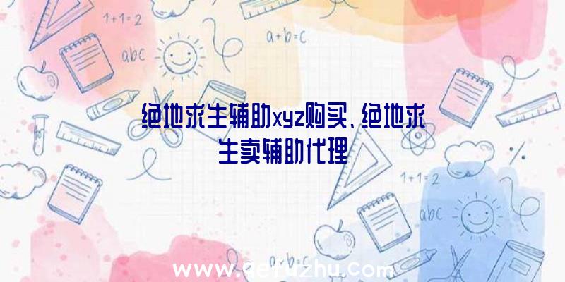 绝地求生辅助xyz购买、绝地求生卖辅助代理