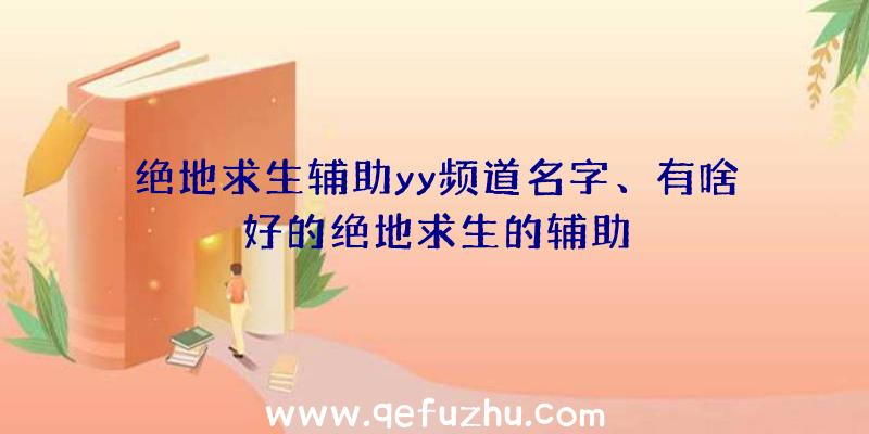 绝地求生辅助yy频道名字、有啥好的绝地求生的辅助