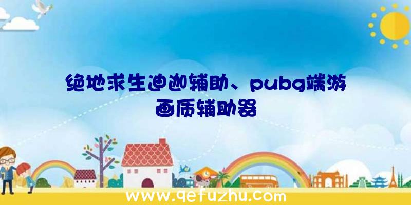 绝地求生迪迦辅助、pubg端游画质辅助器