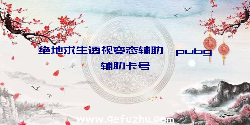 绝地求生透视变态辅助、pubg辅助卡号