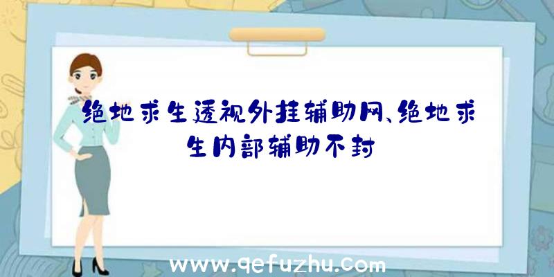 绝地求生透视外挂辅助网、绝地求生内部辅助不封