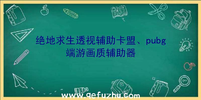 绝地求生透视辅助卡盟、pubg端游画质辅助器