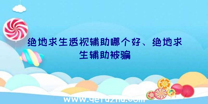 绝地求生透视辅助哪个好、绝地求生辅助被骗