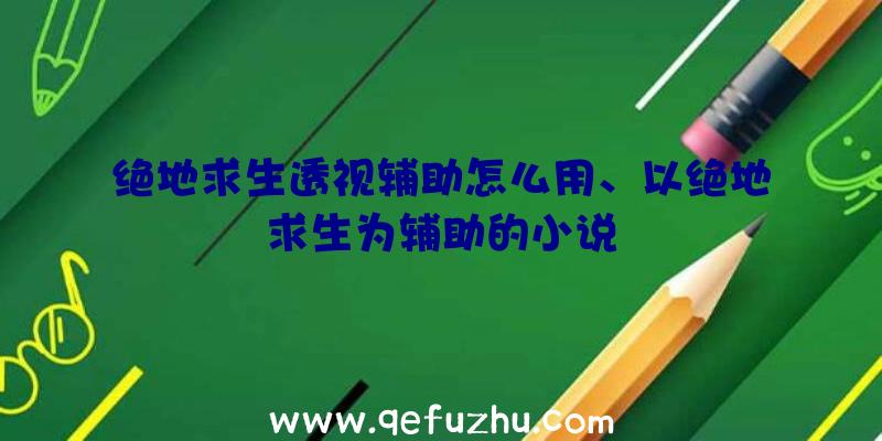 绝地求生透视辅助怎么用、以绝地求生为辅助的小说