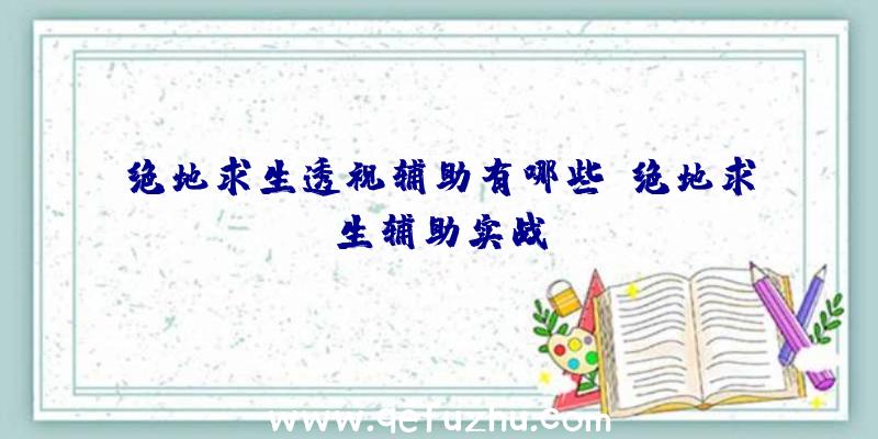 绝地求生透视辅助有哪些、绝地求生辅助实战