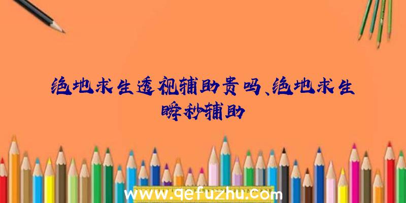 绝地求生透视辅助贵吗、绝地求生瞬秒辅助