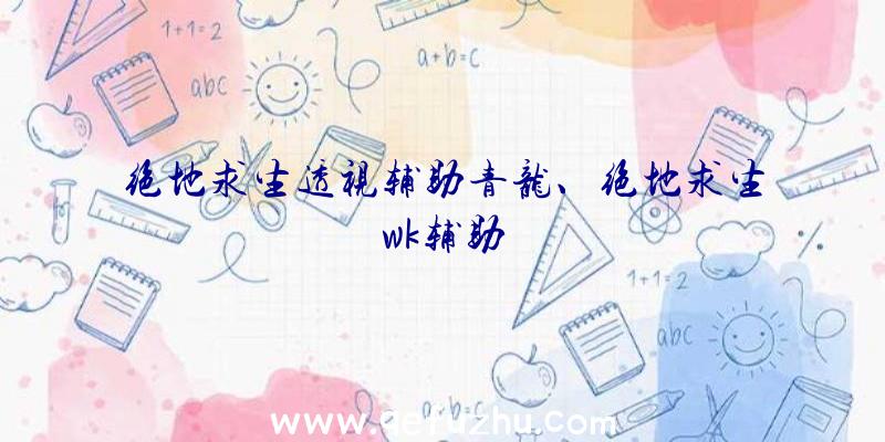 绝地求生透视辅助青龙、绝地求生wk辅助