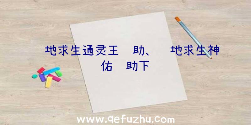 绝地求生通灵王辅助、绝地求生神佑辅助下载