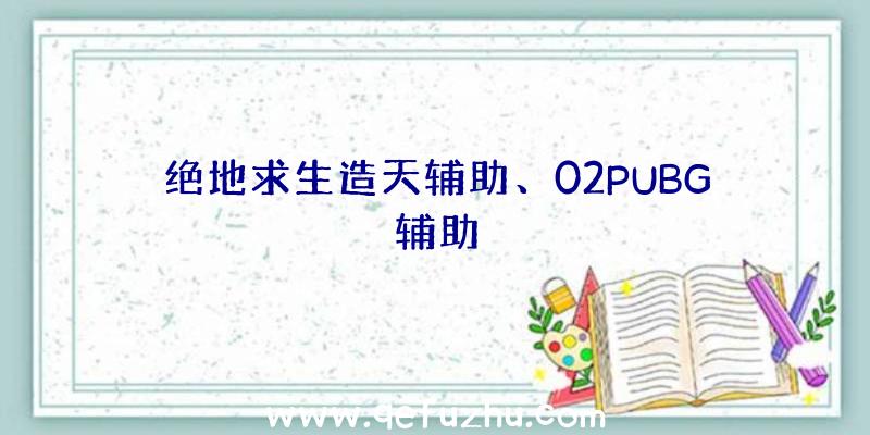 绝地求生造天辅助、02PUBG辅助