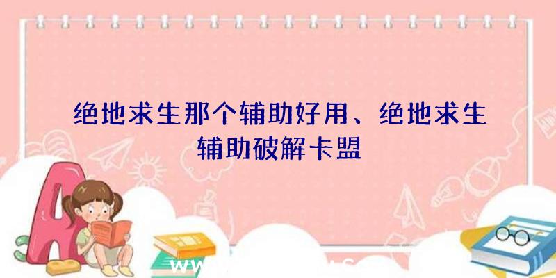 绝地求生那个辅助好用、绝地求生辅助破解卡盟