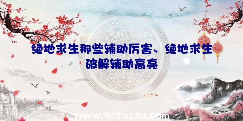 绝地求生那些辅助厉害、绝地求生破解辅助高亮