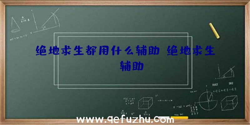 绝地求生都用什么辅助、绝地求生da辅助