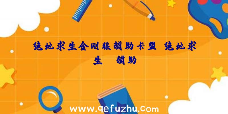 绝地求生金刚狼辅助卡盟、绝地求生da辅助