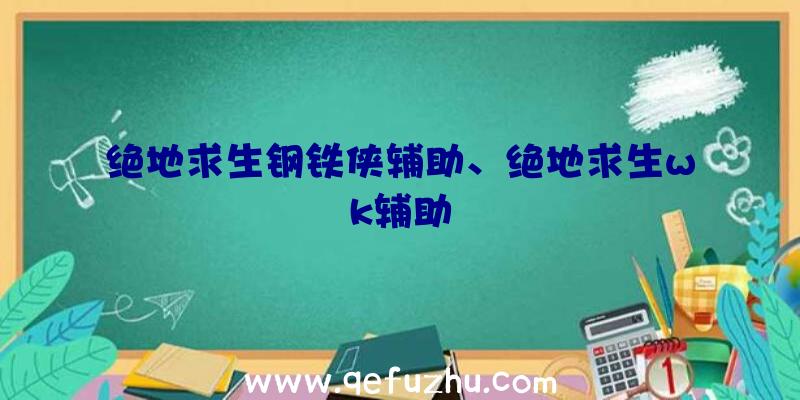 绝地求生钢铁侠辅助、绝地求生wk辅助