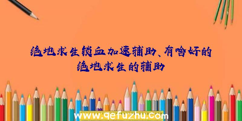 绝地求生锁血加速辅助、有啥好的绝地求生的辅助