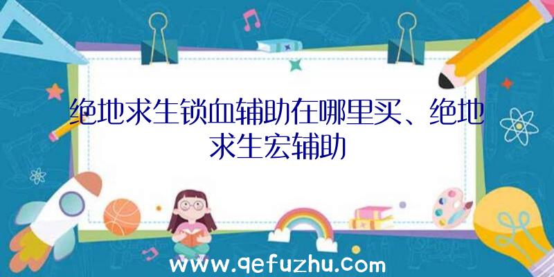 绝地求生锁血辅助在哪里买、绝地求生宏辅助