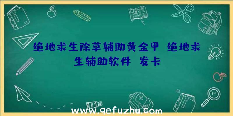 绝地求生除草辅助黄金甲、绝地求生辅助软件