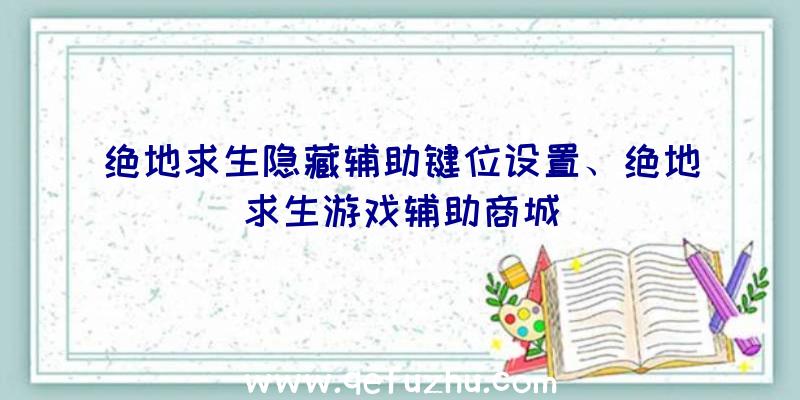 绝地求生隐藏辅助键位设置、绝地求生游戏辅助商城