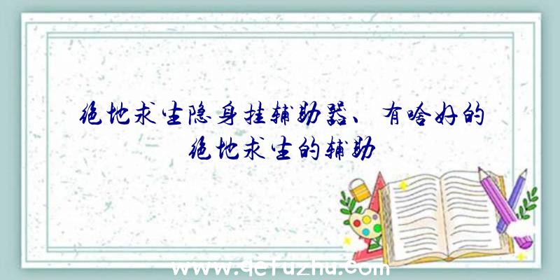 绝地求生隐身挂辅助器、有啥好的绝地求生的辅助