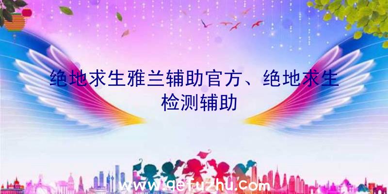 绝地求生雅兰辅助官方、绝地求生