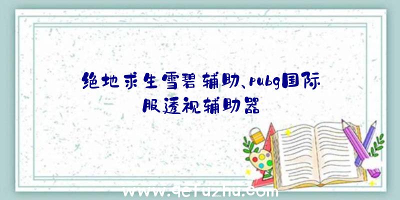 绝地求生雪碧辅助、pubg国际服透视辅助器