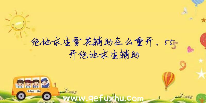 绝地求生雪花辅助在么重开、55开绝地求生辅助