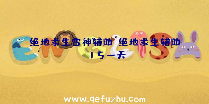 绝地求生雷神辅助、绝地求生辅助15一天