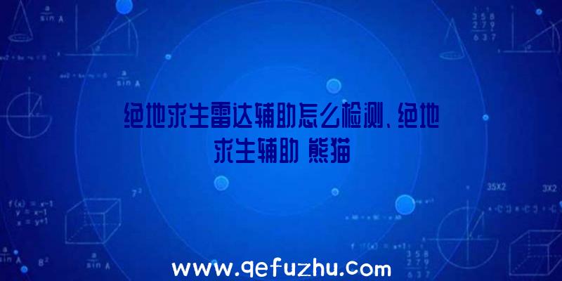 绝地求生雷达辅助怎么检测、绝地求生辅助