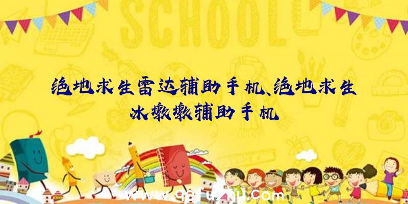 绝地求生雷达辅助手机、绝地求生冰墩墩辅助手机